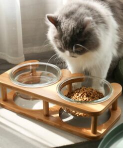 elegant glass cat food bowl set stylish and functional pet dining solution