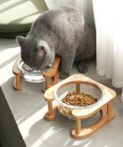 elegant glass cat food bowl set stylish and functional pet dining solution