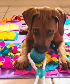 pets puzzle toys increase iq snuffle mat slow dispensing feeder pet cat pup training games feedingfeeding food intelligence toy