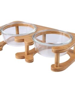 elegant glass cat food bowl set stylish and functional pet dining solution