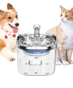 npet pet hydration fountain