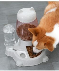 automatic pet food and water dispenser