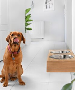 hanging wooden dog feeder, mounted pet feeding station, shepherd food stand