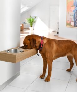 hanging wooden dog feeder, mounted pet feeding station, shepherd food stand