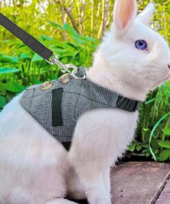 rabbit leash rabbit dress: whimsical bunny chest strap dress