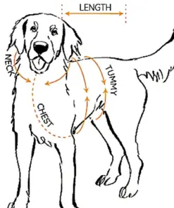 gatto trackie jacket by red & ginger