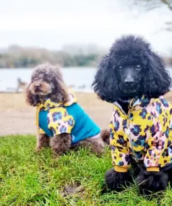 gatto trackie jacket by red & ginger