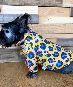 gatto trackie jacket by red & ginger