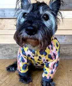 gatto trackie jacket by red & ginger