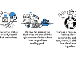 shmles blubried trsr trt ( 6 x 6 oz )