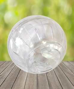 interactive hamster exercise ball
