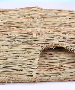 pet paradise grass haven