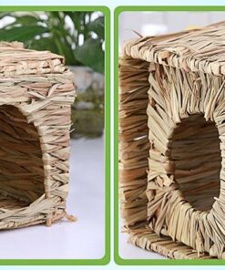 pet paradise grass haven