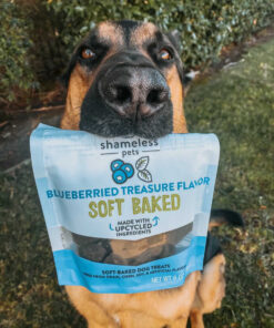 shmles blubried trsr trt ( 6 x 6 oz )