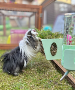 hay rack pastel pink