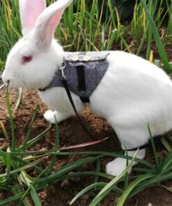 rabbit leash rabbit dress: whimsical bunny chest strap dress