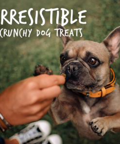 fruitables pumpkin & banana mix dog treats (8x7 oz)