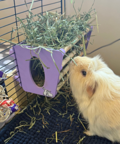 hay rack pastel blue