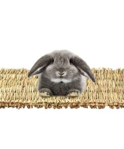 3 pack natural wood rabbit bunny mat toy bed for small animals like guinea pig and parrot durable and cozy straw mat set