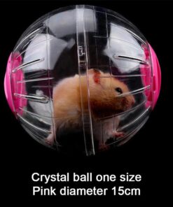 interactive hamster exercise ball