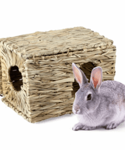 pet paradise grass haven