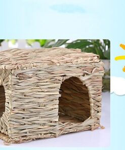 pet paradise grass haven