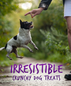 fruitables pumpkin & blueberry mix dog treats (8x7 oz)