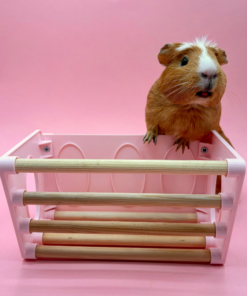 hay rack pastel pink