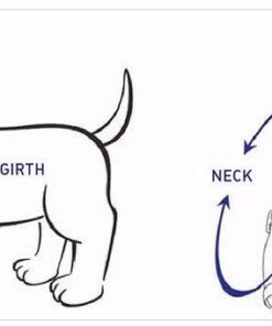 step in floral bundle black (6 pieces)