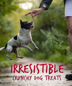 frtable apl bcn dog trt ( 12 x 5 oz )