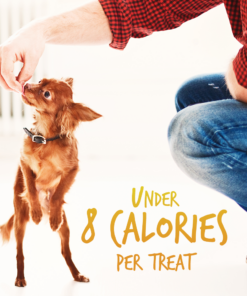 fruitables pumpkin & banana mix dog treats (8x7 oz)