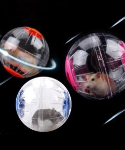interactive hamster exercise ball