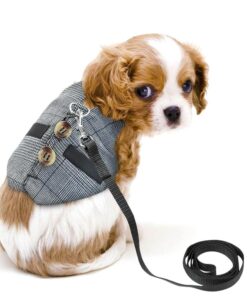 rabbit leash rabbit dress: whimsical bunny chest strap dress