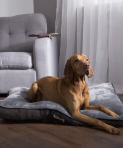 chester dog mattress (in chocolate brown or graphite grey) by scruffs