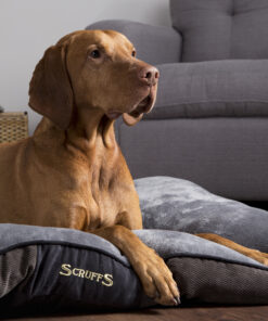 chester dog mattress (in chocolate brown or graphite grey) by scruffs
