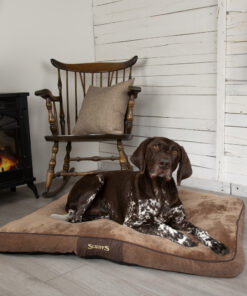 chester dog mattress (in chocolate brown or graphite grey) by scruffs