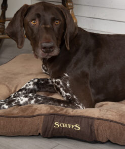 chester dog mattress (in chocolate brown or graphite grey) by scruffs