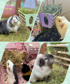 hay rack pastel blue