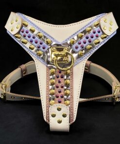 the candy harness