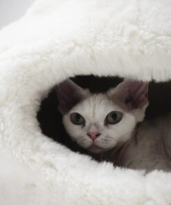 nest natural sheepskin pet bed white