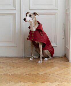 water repellent dog trench coat burgundy red