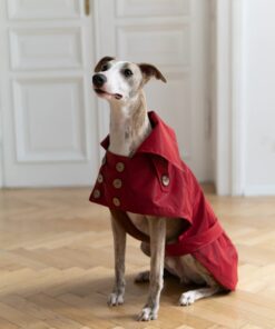 water repellent dog trench coat burgundy red