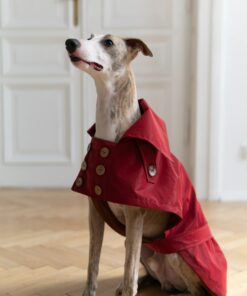 water repellent dog trench coat burgundy red
