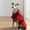 water repellent dog trench coat burgundy red