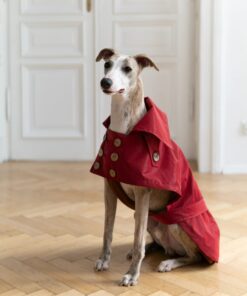 water repellent dog trench coat burgundy red