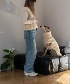 woolen dog vest dark grey