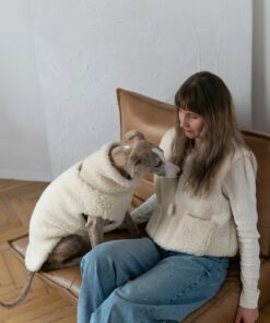 woolen dog vest dark grey