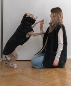 woolen dog vest charcoal