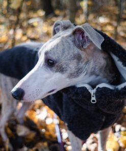 woolen dog vest charcoal