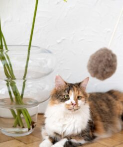 natural woolen cat toy: ball